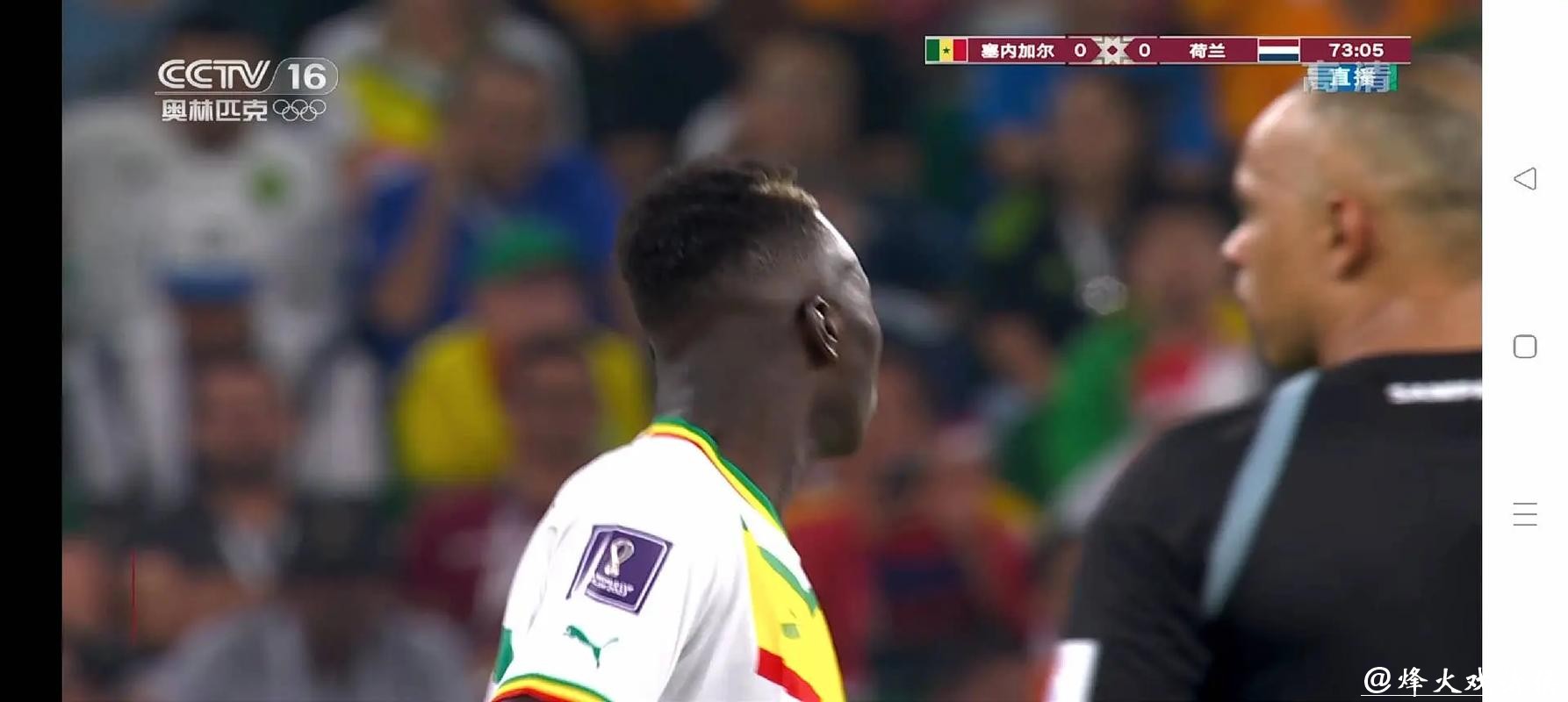 世界杯直播在线观看的最佳选择